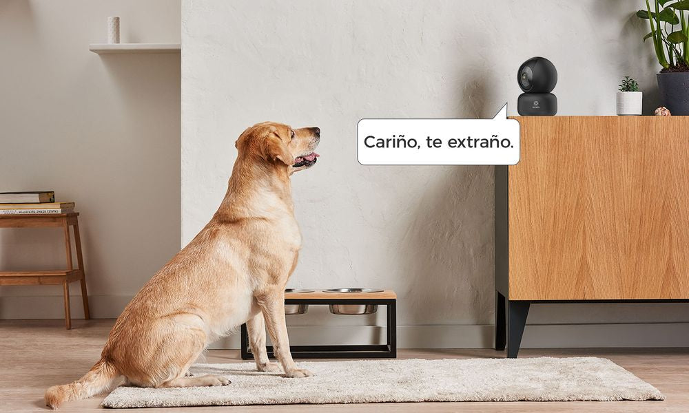 WOOX R4040 Smart PTZ Security Camera - 360° Pan & 104° Tilt, 1080P Full HD, Human Motion Tracking, 2-Way Audio, Night Vision, Works with Alexa